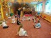 IMG-20251013-WA0000