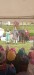 IMG-20260513-WA0020