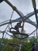 IMG-20260513-WA0053