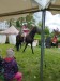 IMG_20260513_111253