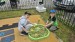 IMG-20260521-WA0029