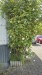 IMG-20260521-WA0035