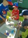 IMG_20260529_091300
