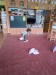 IMG-20260601-WA0018