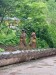 IMG-20260611-WA0020