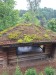 IMG-20260611-WA0037
