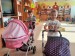 IMG-20260910-WA0046