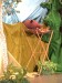IMG-20260926-WA0007