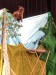 IMG-20260926-WA0010