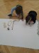 IMG-20261022-WA0007