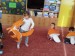 IMG-20261023-WA0051